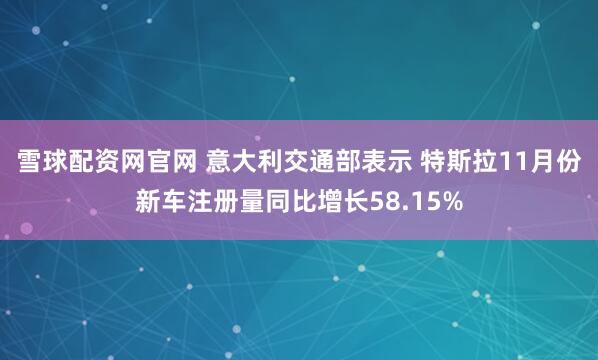 雪球配资网官网 意大利交通部表示 特斯拉11月份新车注册量同比增长58.15%