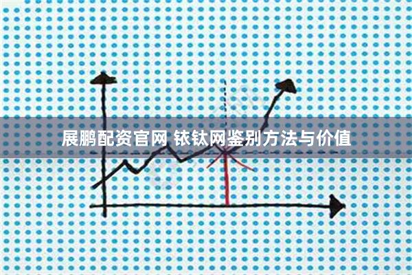 展鹏配资官网 铱钛网鉴别方法与价值